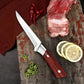 🔥New Hot Selling❤️‍🔥 Kniv rekommenderad av en Michelin-kock - japansk premiumkniv