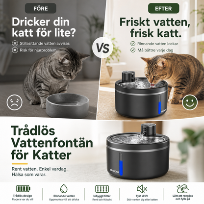 Smart kattfontän med rörelsesensor