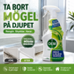 Spray mot mögel i badrummet