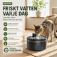 Smart kattfontän med rörelsesensor