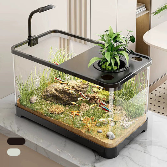 Litet akvarium för hemmet