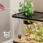 Litet akvarium för hemmet