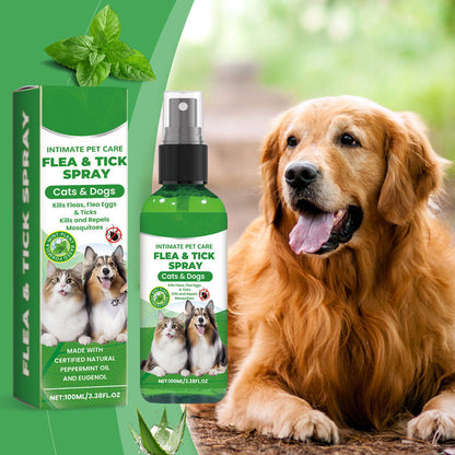 🍃Naturligt spray mot loppor och fästingar för hundar och katter🐾 Håll ditt älskade husdjur fritt från skadedjur
