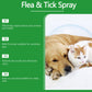 🍃Naturligt spray mot loppor och fästingar för hundar och katter🐾 Håll ditt älskade husdjur fritt från skadedjur