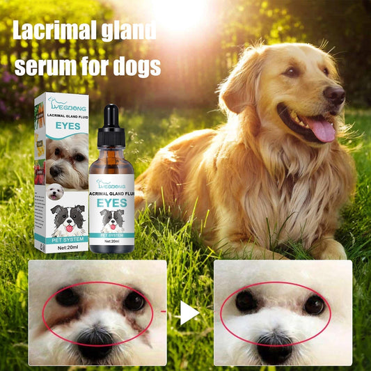 🥳STOR REA 2026🥳💞Över 50 000 sålda!🐱🐶 50 % RABATT! Ögonrengöring och ögondroppar för husdjur – Skonsam, pH-balanserad formula, säker för hundar och katter. Lindrar rodnad, tar bort tårfläckar och daglig smuts. Innehåller inget väteperoxid! 🌿💧