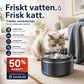 Smart kattfontän med rörelsesensor