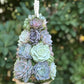 🔥Sista dagen 70% OFF - 🎁🎄Succulent konstträd