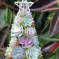 🔥Sista dagen 70% OFF - 🎁🎄Succulent konstträd